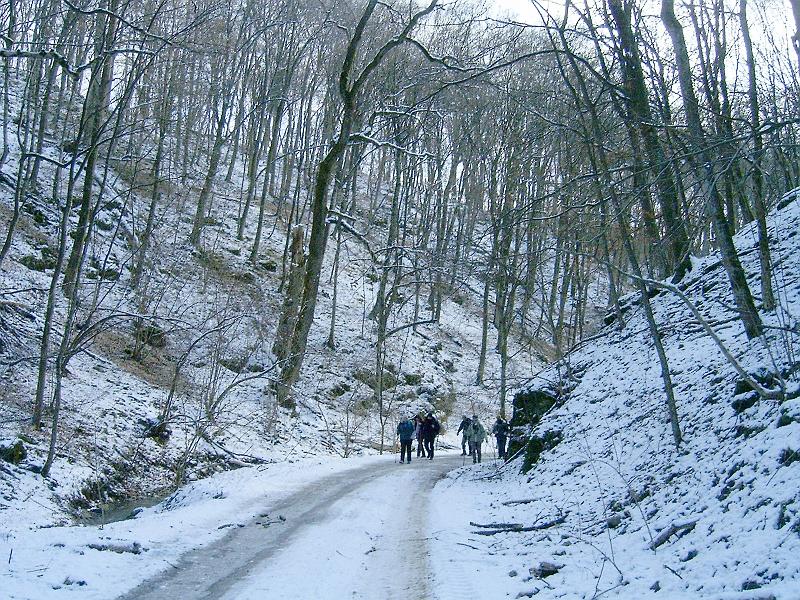20110122 096.jpg